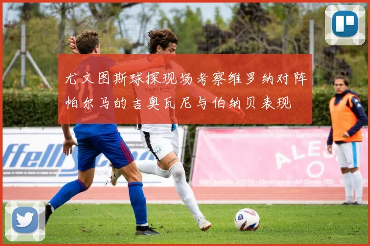尤文图斯球探现场考察维罗纳对阵帕尔马的吉奥瓦尼与伯纳贝表现