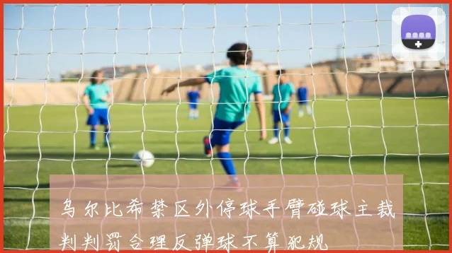 乌尔比希禁区外停球手臂碰球主裁判判罚合理反弹球不算犯规