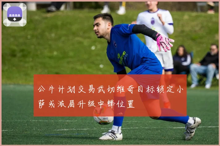 公牛计划交易武切维奇目标锁定小萨或浓眉升级中锋位置
